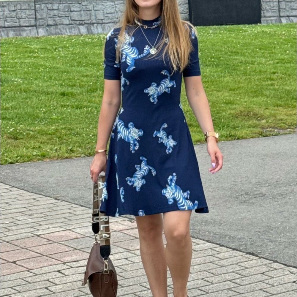 Desigual mini dress